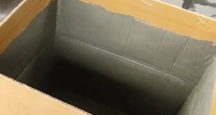 Cara membuat kandang jangkrik dari kardus